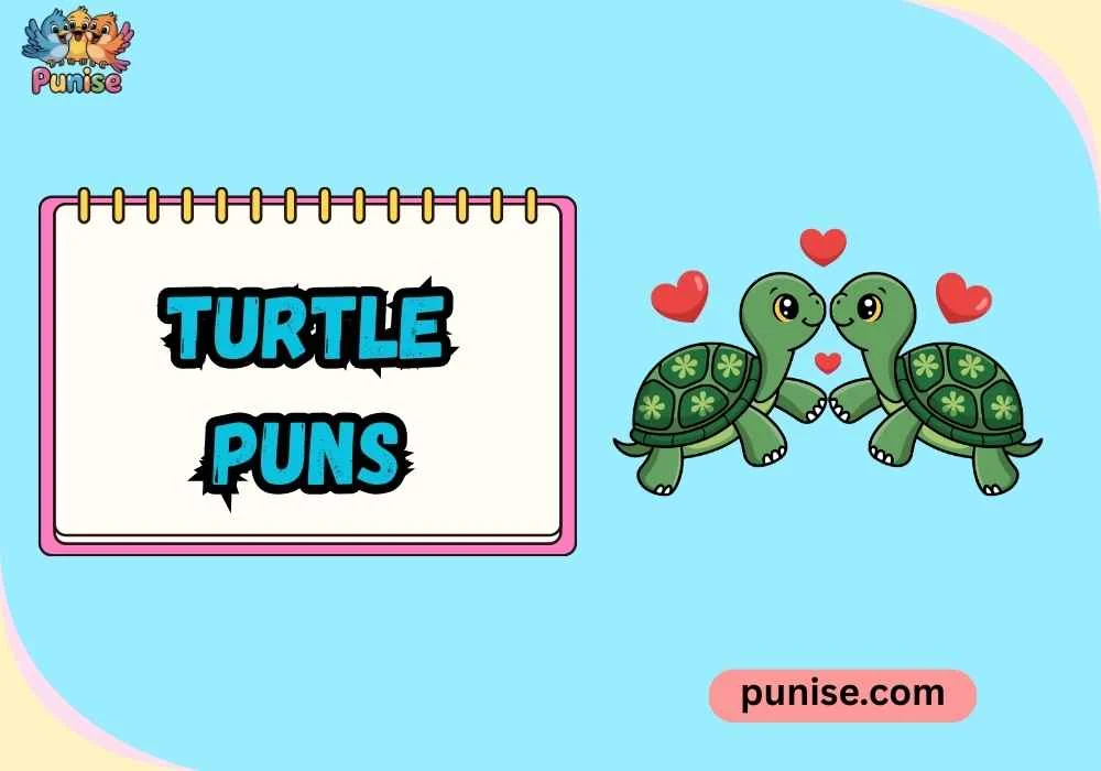 Family-Friendly Turtle Jokes