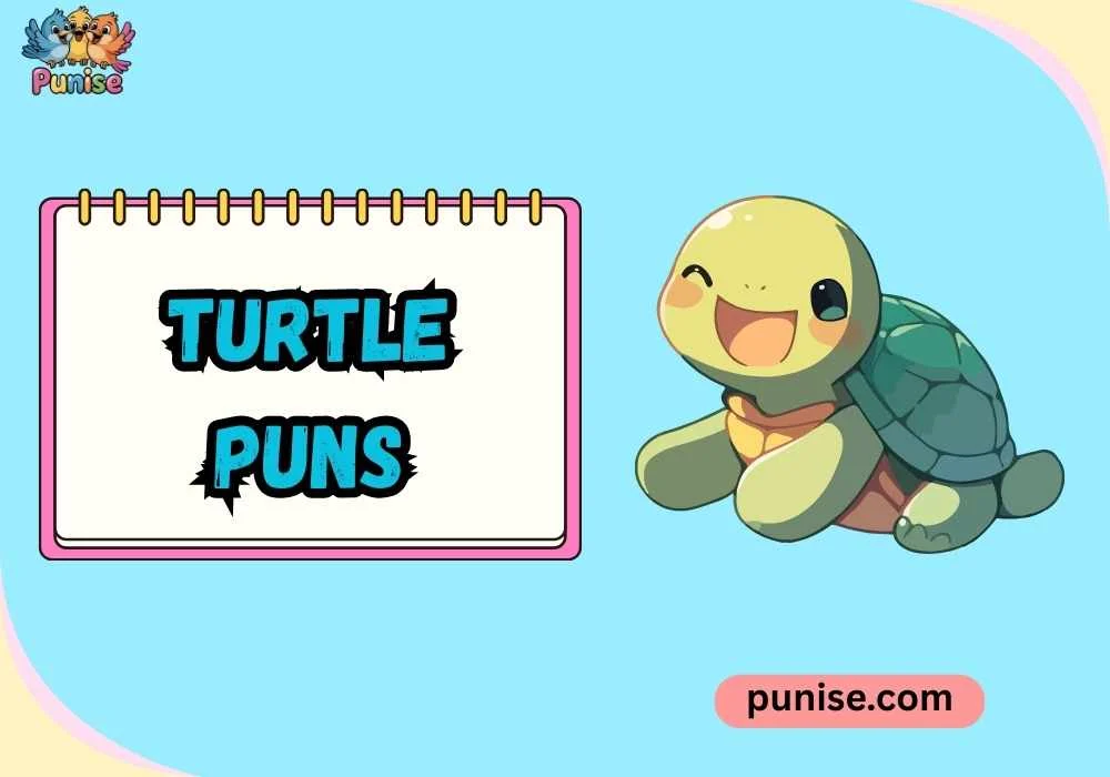 Short ‘N Sharp Turtle Wordplay