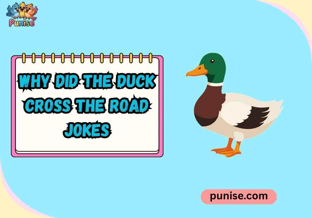 Short ‘N Sharp why did the duck cross