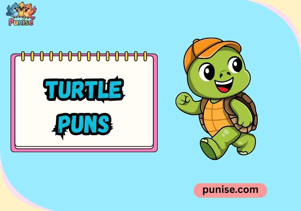 Turtle Puns