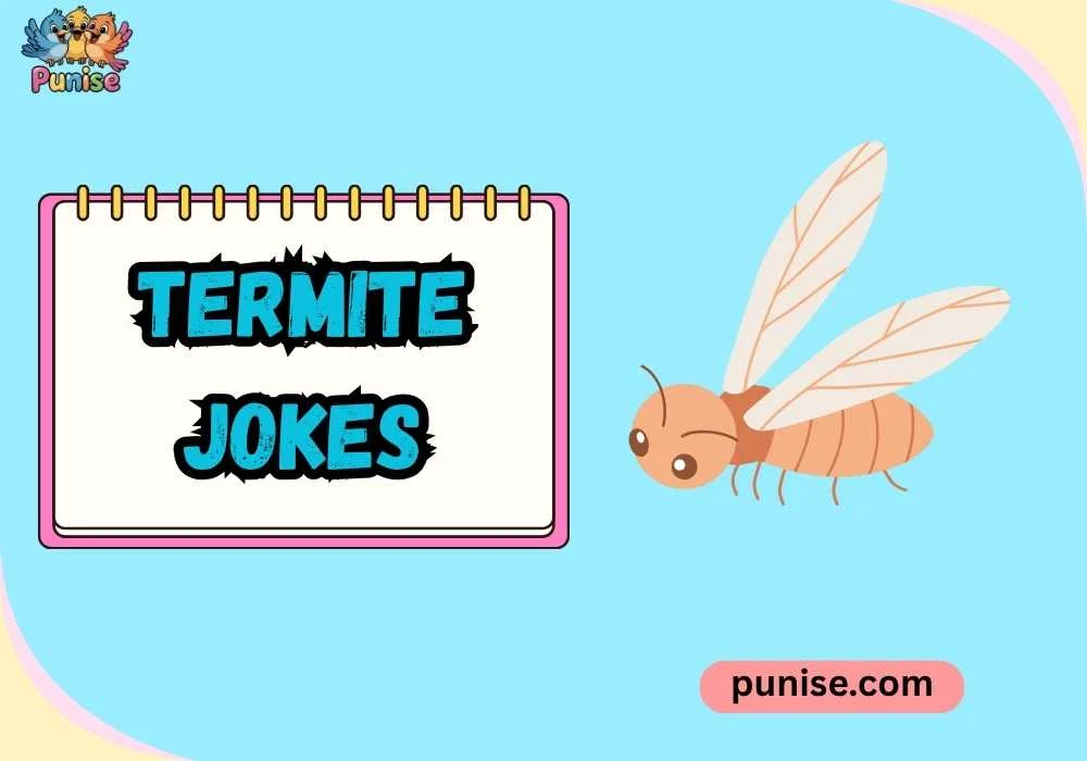 Best Termite Jokes