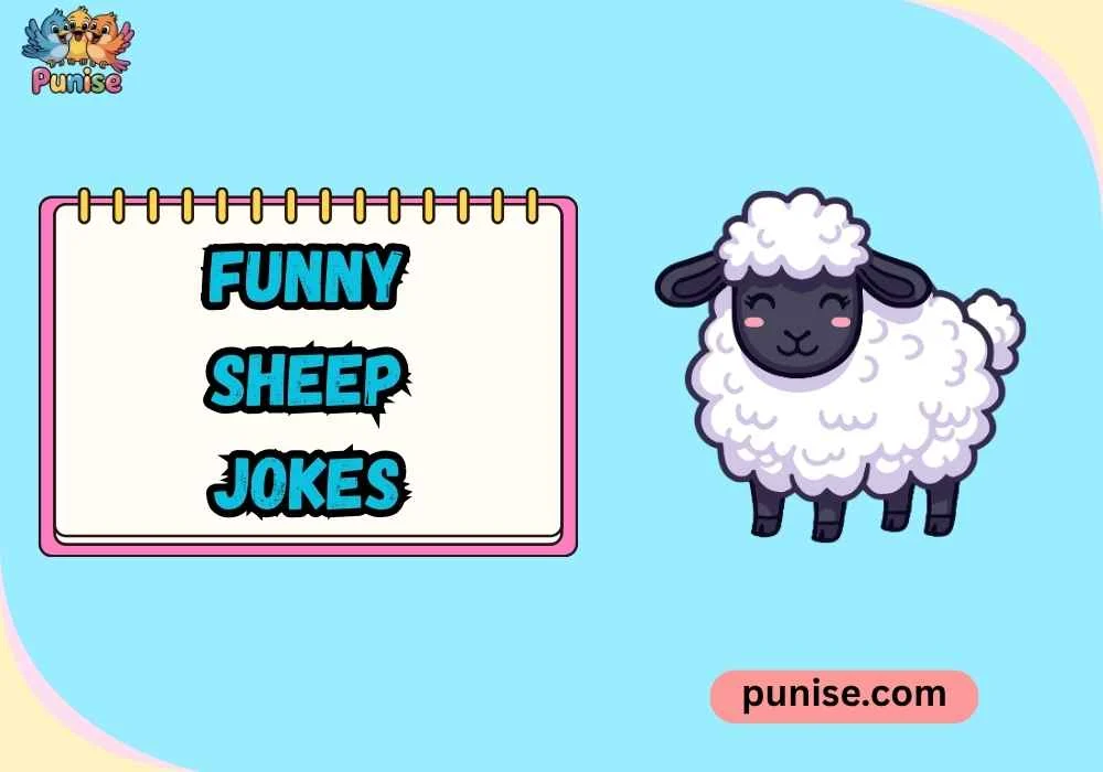 Funny Sheep Jokes