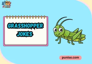 Grasshopper Jokes