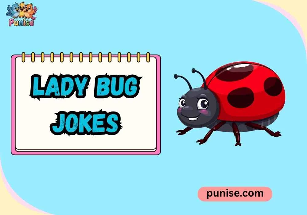 Lady Bug Jokes