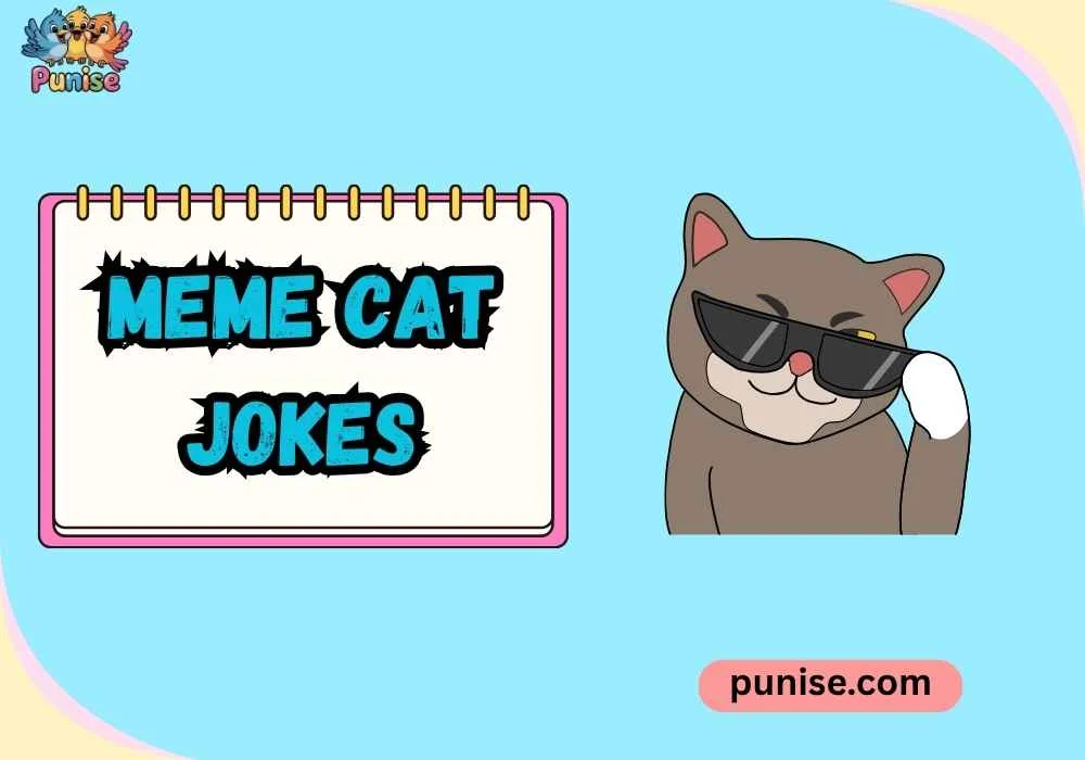 Meme Cat jokes