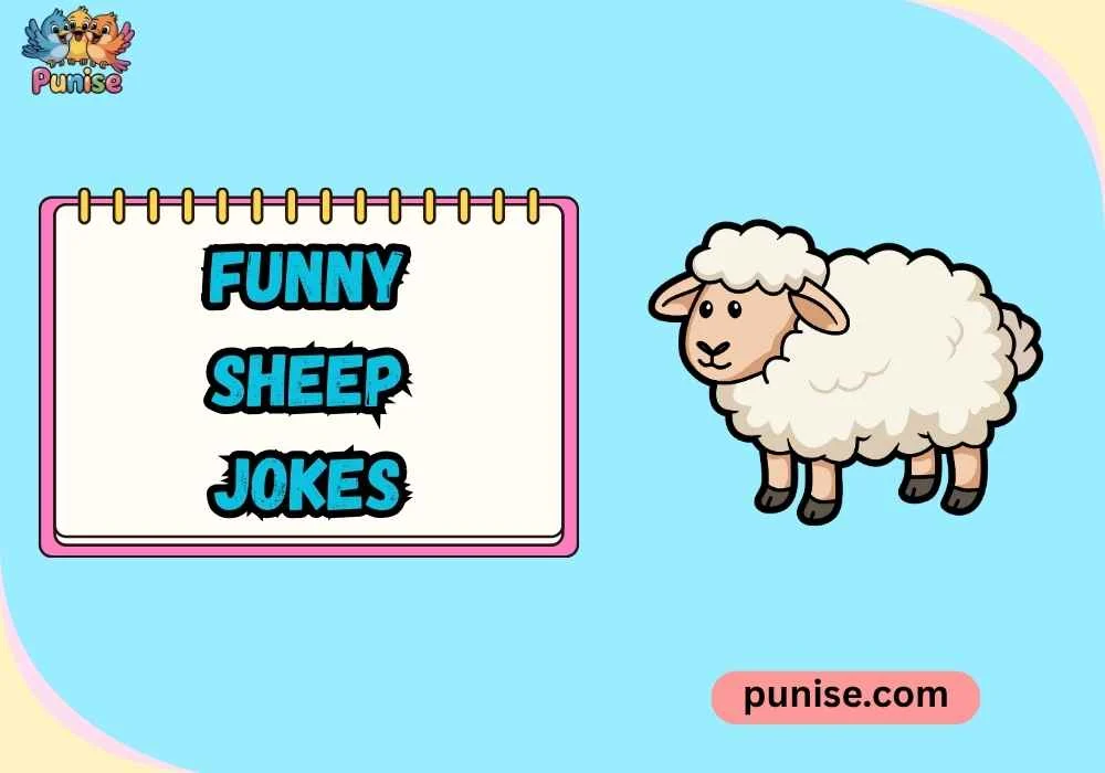 Quick & Quirky Funny Sheep