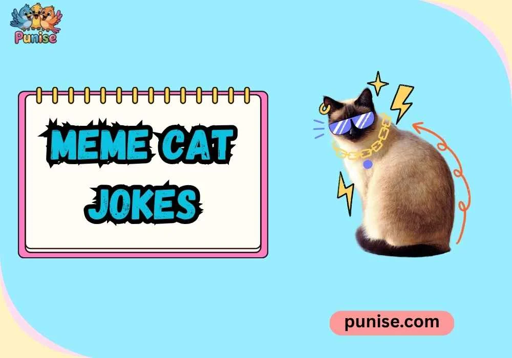 Quick & Quirky meme cat jokes