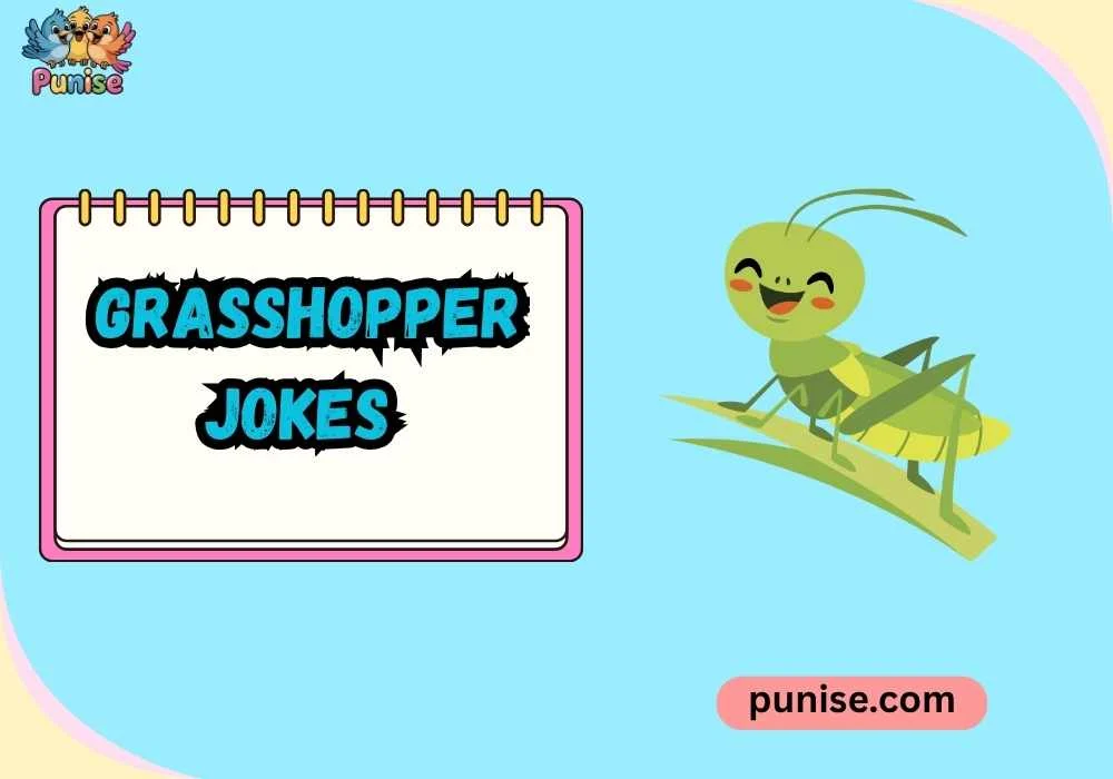 Short ‘N Sharp Grasshopper