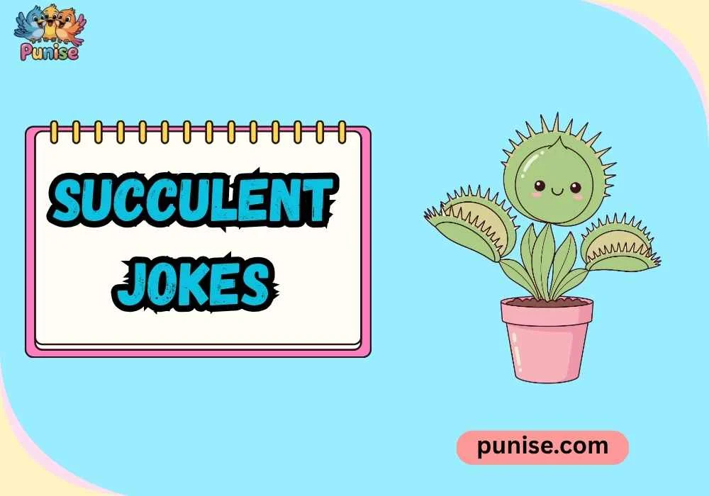 Short ‘N Sharp succulent 
