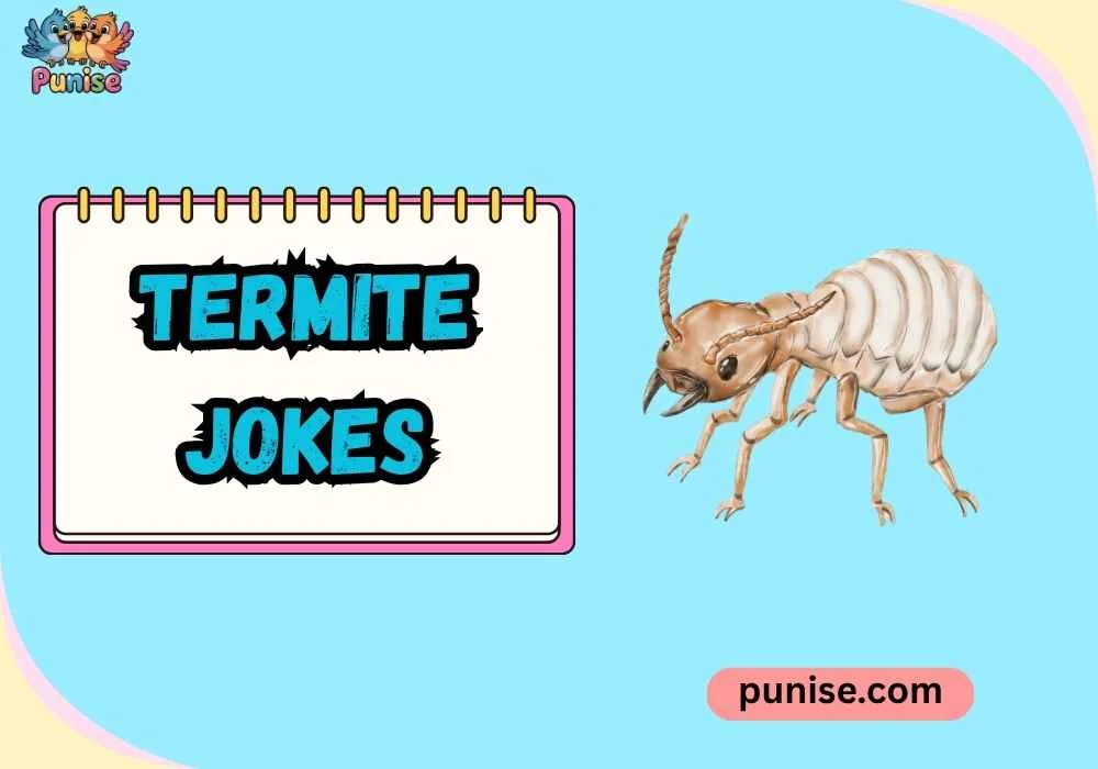 Termite Jokes