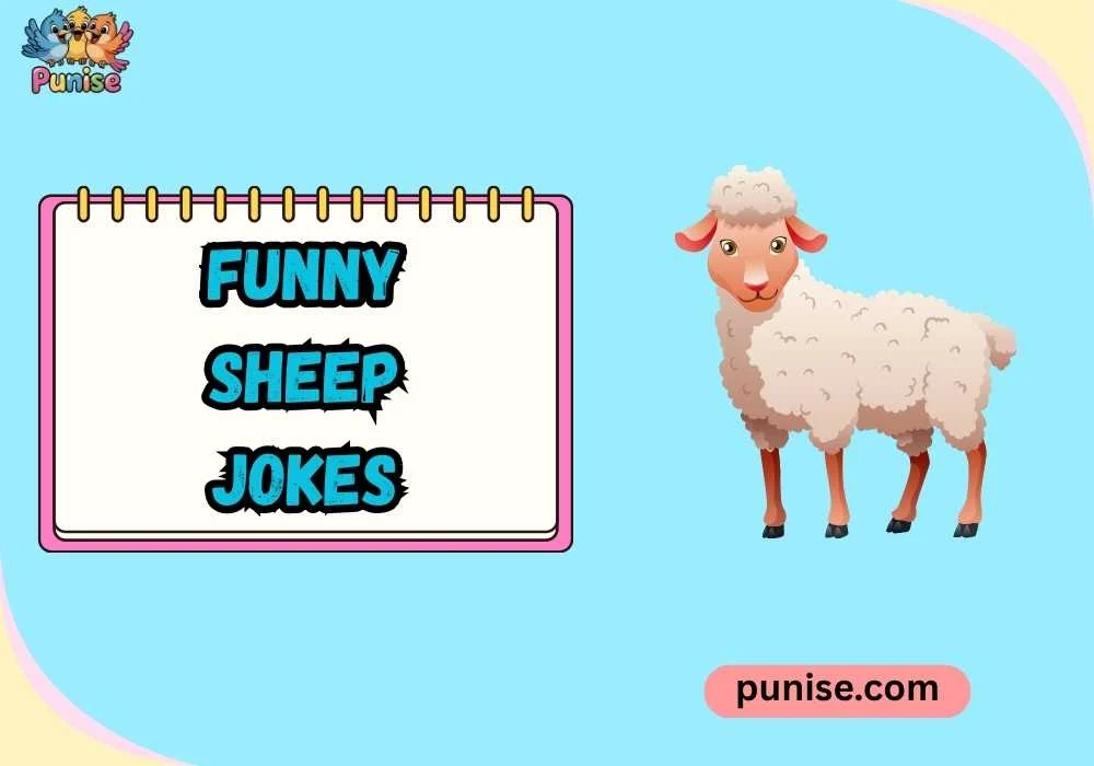 Witty Funny Sheep Jokes