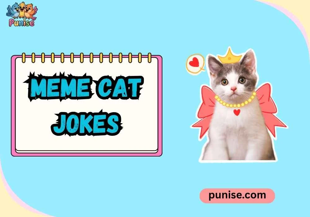 Witty meme cat jokes